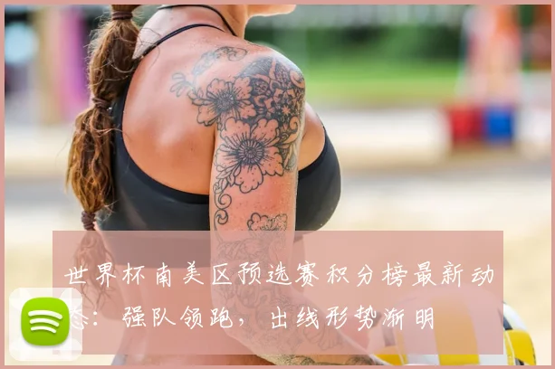 世界杯南美区预选赛积分榜最新动态：强队领跑，出线形势渐明