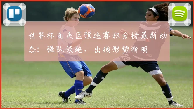 世界杯南美区预选赛积分榜最新动态：强队领跑，出线形势渐明